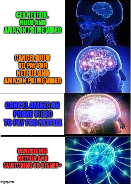 What else can I say? | GET NETFLIX, HULU AND AMAZON PRIME VIDEO; CANCEL HULU TO PAY FOR NETFLIX AND AMAZON PRIME VIDEO; CANCEL AMAZAON PRIME VIDEO TO PAY FOR NETFLIX; CANCELLING NETFLIX AND SWITCHING TO DISNEY+ | image tagged in memes,expanding brain | made w/ Imgflip meme maker