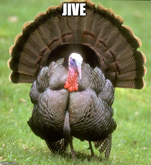 Turkey | JIVE | image tagged in memes,turkey | made w/ Imgflip meme maker