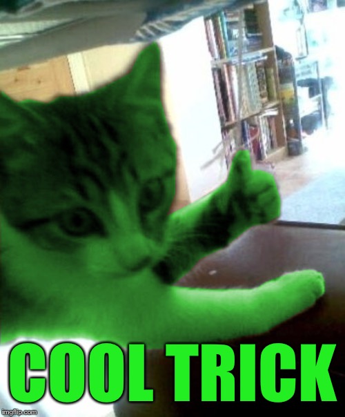 thumbs up RayCat | COOL TRICK | image tagged in thumbs up raycat | made w/ Imgflip meme maker