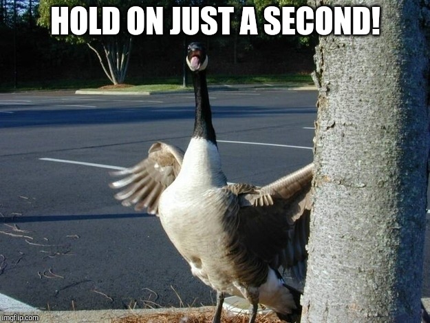 Hell geese | HOLD ON JUST A SECOND! | image tagged in hell geese | made w/ Imgflip meme maker
