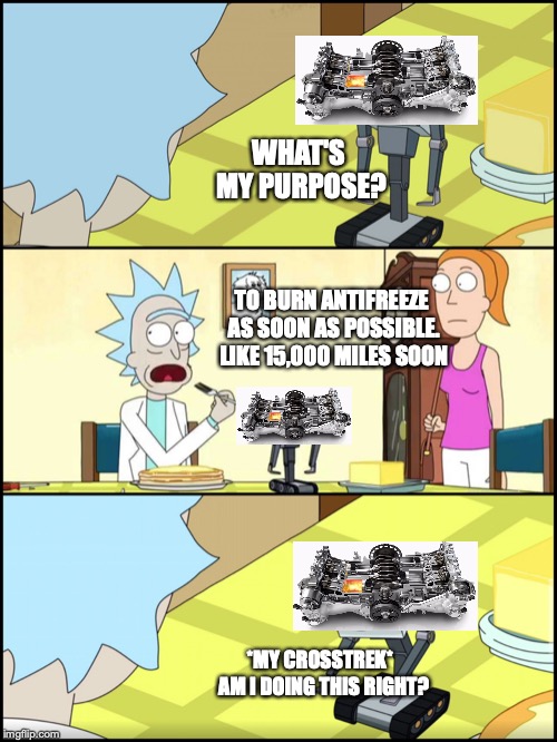 Rick and Morty Butter | WHAT'S MY PURPOSE? TO BURN ANTIFREEZE AS SOON AS POSSIBLE. LIKE 15,000 MILES SOON; *MY CROSSTREK*  AM I DOING THIS RIGHT? | image tagged in rick and morty butter | made w/ Imgflip meme maker