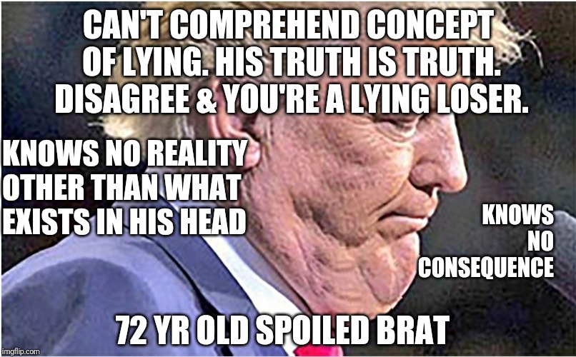 CAN'T COMPREHEND CONCEPT OF LYING. HIS TRUTH IS TRUTH. DISAGREE & YOU'RE A LYING LOSER. KNOWS NO REALITY OTHER THAN WHAT EXISTS IN HIS HEAD; KNOWS NO CONSEQUENCE; 72 YR OLD SPOILED BRAT | image tagged in liar,donald trump,trump lies | made w/ Imgflip meme maker