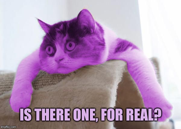 RayCat Stare | IS THERE ONE, FOR REAL? | image tagged in raycat stare | made w/ Imgflip meme maker
