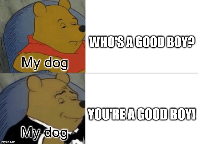 Tuxedo Winnie The Pooh Meme | WHO'S A GOOD BOY? My dog; YOU'RE A GOOD BOY! My dog | image tagged in memes,tuxedo winnie the pooh | made w/ Imgflip meme maker