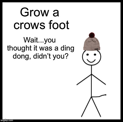 Be Like Bill Meme | Grow a crows foot; Wait...you thought it was a ding dong, didn’t you? | image tagged in memes,be like bill | made w/ Imgflip meme maker