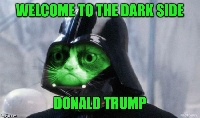 Grumpy RayVader | WELCOME TO THE DARK SIDE DONALD TRUMP | image tagged in grumpy rayvader | made w/ Imgflip meme maker