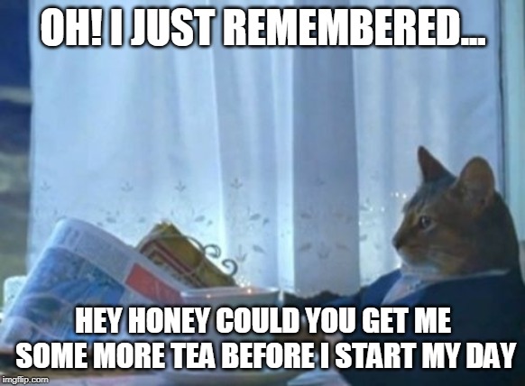 I Should Buy A Boat Cat Meme | OH! I JUST REMEMBERED... HEY HONEY COULD YOU GET ME SOME MORE TEA BEFORE I START MY DAY | image tagged in memes,i should buy a boat cat | made w/ Imgflip meme maker