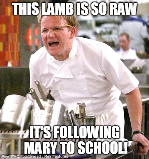 Chef Gordon Ramsay Meme | THIS LAMB IS SO RAW; IT'S FOLLOWING MARY TO SCHOOL! | image tagged in memes,chef gordon ramsay | made w/ Imgflip meme maker