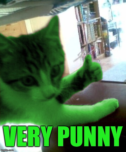 thumbs up RayCat | VERY PUNNY | image tagged in thumbs up raycat | made w/ Imgflip meme maker