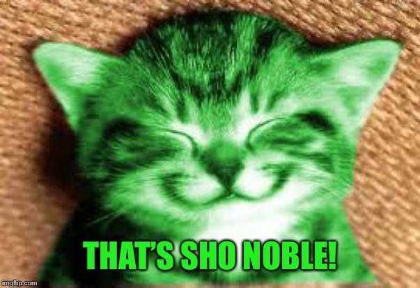 happy RayCat | THAT’S SHO NOBLE! | image tagged in happy raycat | made w/ Imgflip meme maker