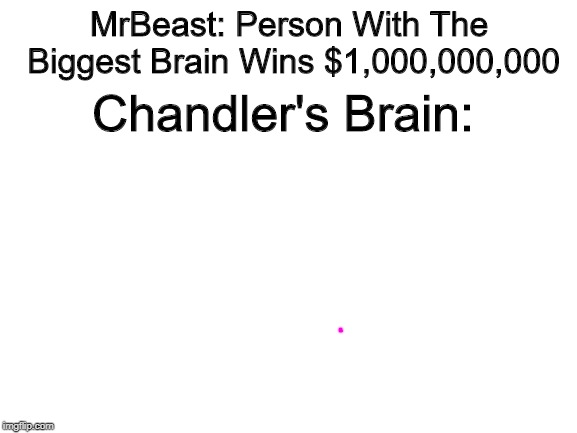 Chander, Embracing Poverty Since 1980 | MrBeast: Person With The Biggest Brain Wins $1,000,000,000; Chandler's Brain: | image tagged in blank white template,memes | made w/ Imgflip meme maker