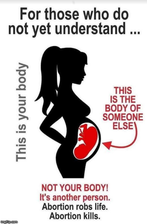 just  about  right! | .                       . | image tagged in abortion is murder,killing is killing,abortion,no  need to  kill | made w/ Imgflip meme maker