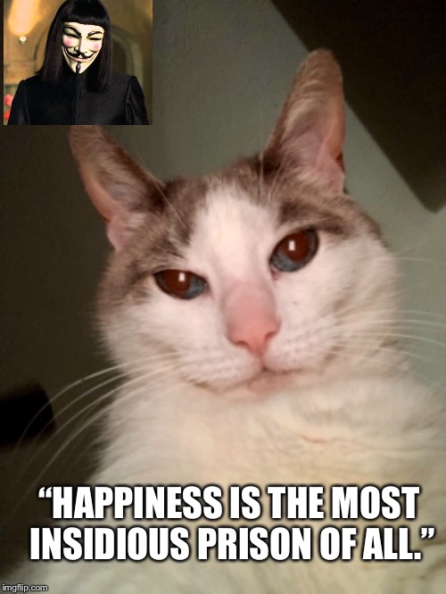 “HAPPINESS IS THE MOST INSIDIOUS PRISON OF ALL.” | image tagged in v for vendetta | made w/ Imgflip meme maker