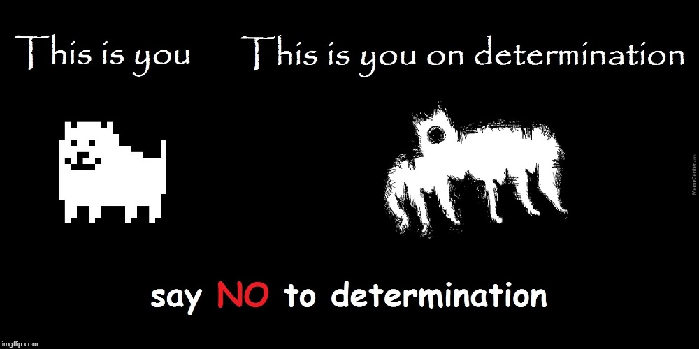 dont do determination kids | image tagged in yeet,undertale,meme,determination,dog | made w/ Imgflip meme maker
