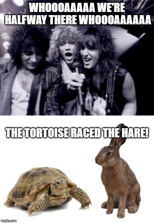 Livin' on a..... | WHOOOAAAAA WE'RE HALFWAY THERE WHOOOAAAAAA; THE TORTOISE RACED THE HARE! | image tagged in tortoise hare,bon jovi | made w/ Imgflip meme maker