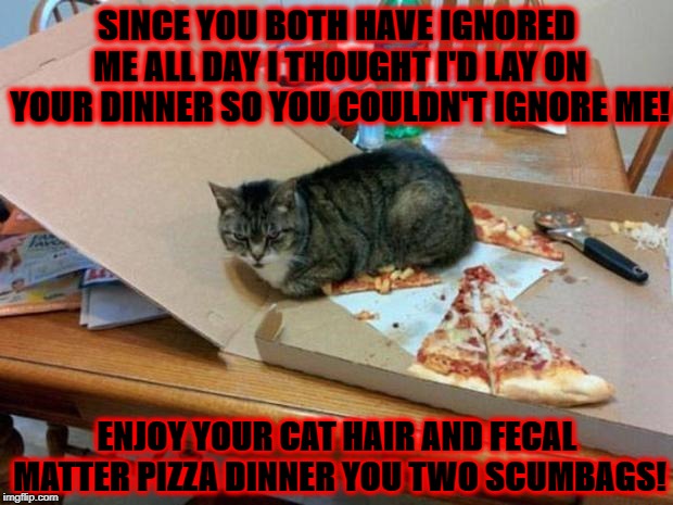 I DEMAND | SINCE YOU BOTH HAVE IGNORED ME ALL DAY I THOUGHT I'D LAY ON YOUR DINNER SO YOU COULDN'T IGNORE ME! ENJOY YOUR CAT HAIR AND FECAL MATTER PIZZA DINNER YOU TWO SCUMBAGS! | image tagged in i demand | made w/ Imgflip meme maker