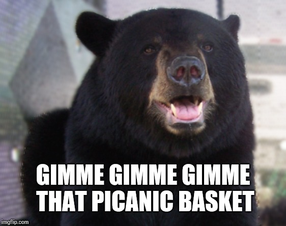 black bear | GIMME GIMME GIMME THAT PICANIC BASKET | image tagged in black bear | made w/ Imgflip meme maker