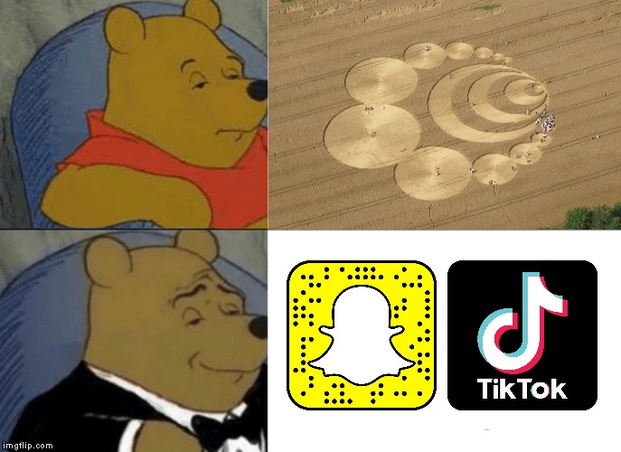 Contacting Aliens | image tagged in memes,tuxedo winnie the pooh,snapchat,tik tok,aliens,crop circles | made w/ Imgflip meme maker