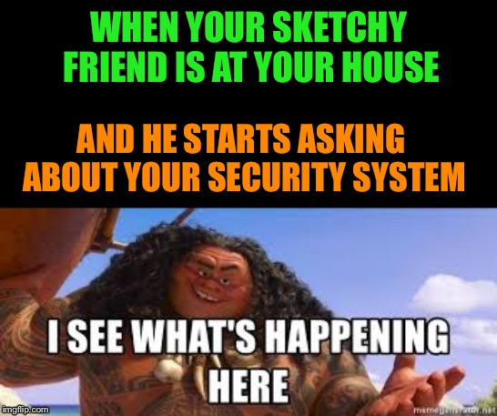 Everyone knows that one guy, if you don’t you might be him | WHEN YOUR SKETCHY FRIEND IS AT YOUR HOUSE; AND HE STARTS ASKING ABOUT YOUR SECURITY SYSTEM | image tagged in moana,thief | made w/ Imgflip meme maker