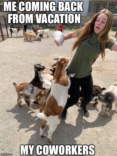 ME COMING BACK FROM VACATION; MY COWORKERS | made w/ Imgflip meme maker