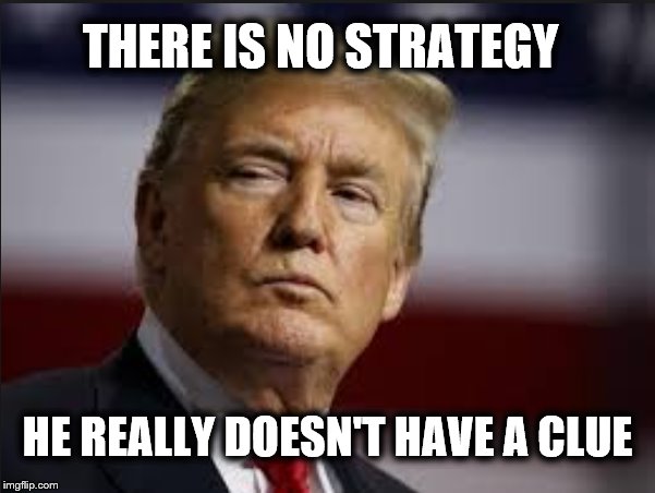 Presidential Liability | THERE IS NO STRATEGY; HE REALLY DOESN'T HAVE A CLUE | image tagged in donald trump,liar,trump traitor,crooked,treason,impeach trump | made w/ Imgflip meme maker
