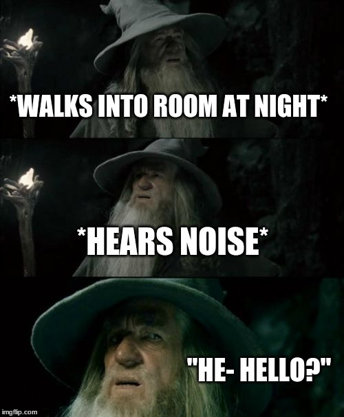 Confused Gandalf | *WALKS INTO ROOM AT NIGHT*; *HEARS NOISE*; "HE- HELLO?" | image tagged in memes,confused gandalf | made w/ Imgflip meme maker