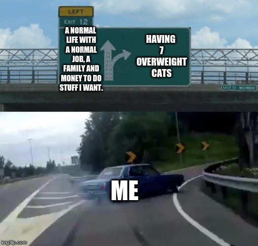Left Exit 12 Off Ramp Meme | HAVING 7 OVERWEIGHT CATS; A NORMAL LIFE WITH A NORMAL JOB, A FAMILY AND MONEY TO DO STUFF I WANT. ME | image tagged in memes,left exit 12 off ramp | made w/ Imgflip meme maker