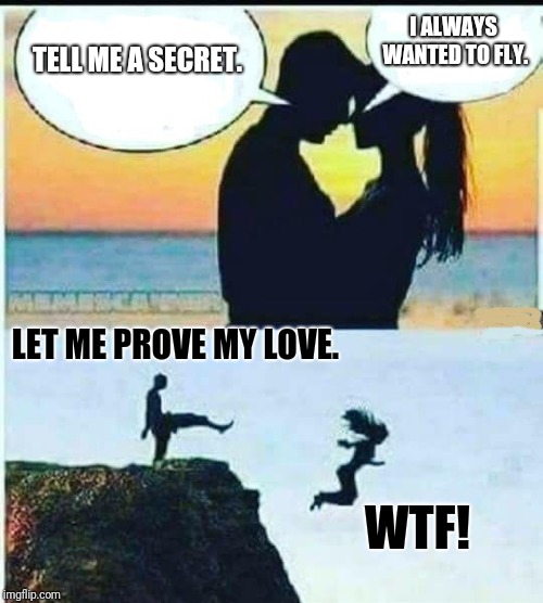 I believe I can fly. | I ALWAYS WANTED TO FLY. TELL ME A SECRET. LET ME PROVE MY LOVE. WTF! | image tagged in i would do anything for you,love,flight,wtf,omg,funny memes | made w/ Imgflip meme maker