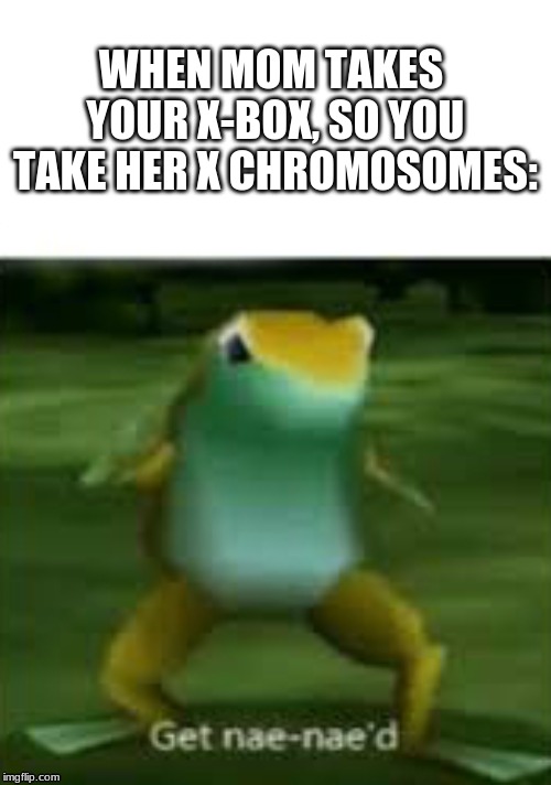 get nae nae'd | WHEN MOM TAKES YOUR X-BOX, SO YOU TAKE HER X CHROMOSOMES: | image tagged in get nae nae'd,x-box,gaming,fun,memes,meme | made w/ Imgflip meme maker