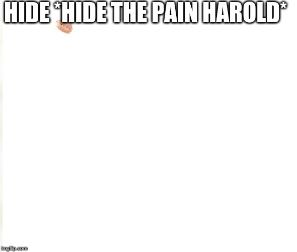 Hide the harold | HIDE *HIDE THE PAIN HAROLD* | image tagged in hide the pain harold,memes,meme,fun,hide the pain | made w/ Imgflip meme maker