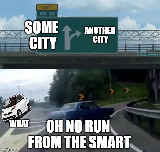 Left Exit 12 Off Ramp | SOME CITY; ANOTHER CITY; OH NO RUN FROM THE SMART; WHAT | image tagged in memes,left exit 12 off ramp | made w/ Imgflip meme maker