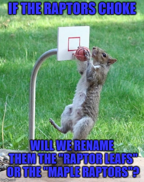 There is no shame in failing like the leafs. |  IF THE RAPTORS CHOKE; WILL WE RENAME THEM THE "RAPTOR LEAFS" OR THE "MAPLE RAPTORS"? | image tagged in squirrel basketball,basketball,raptors,toronto,toronto maple leafs,nba finals | made w/ Imgflip meme maker