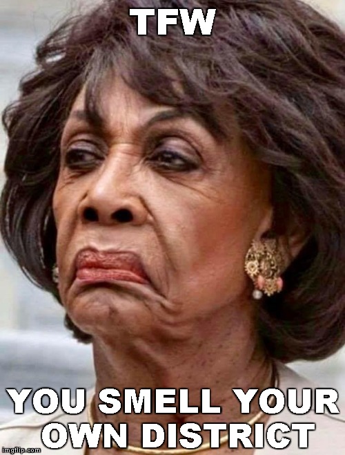 California Reeks | TFW; YOU SMELL YOUR OWN DISTRICT | image tagged in maxine waters,memes,housing crisis,homeless,california | made w/ Imgflip meme maker