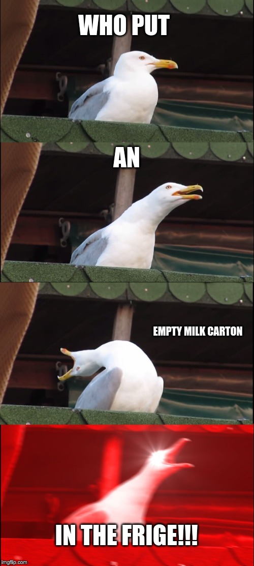 Inhaling Seagull | WHO PUT; AN; EMPTY MILK CARTON; IN THE FRIGE!!! | image tagged in memes,inhaling seagull | made w/ Imgflip meme maker