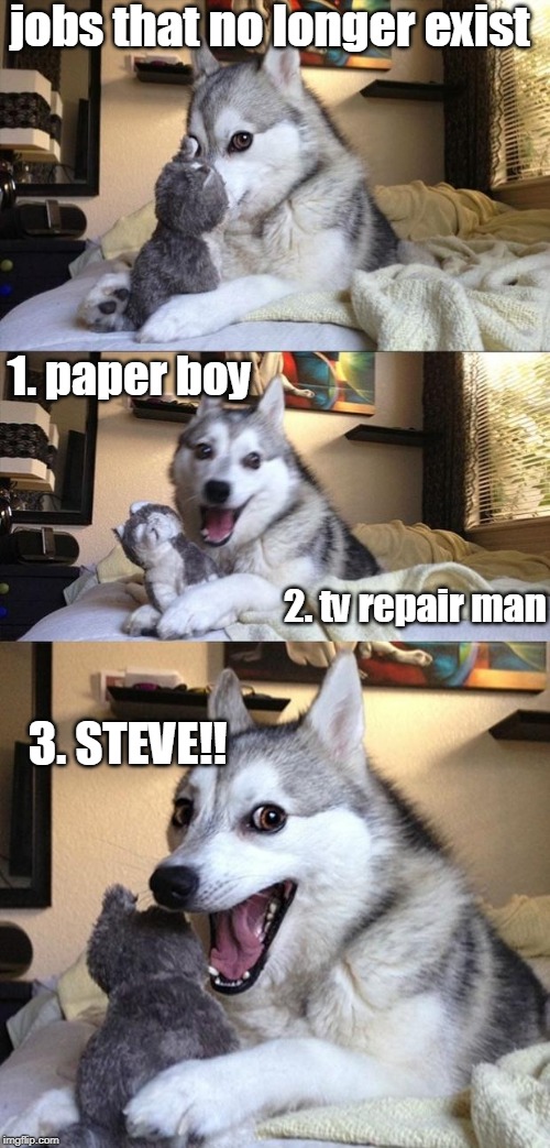 Bad Joke Dog | jobs that no longer exist; 1. paper boy; 2. tv repair man; 3. STEVE!! | image tagged in bad joke dog | made w/ Imgflip meme maker