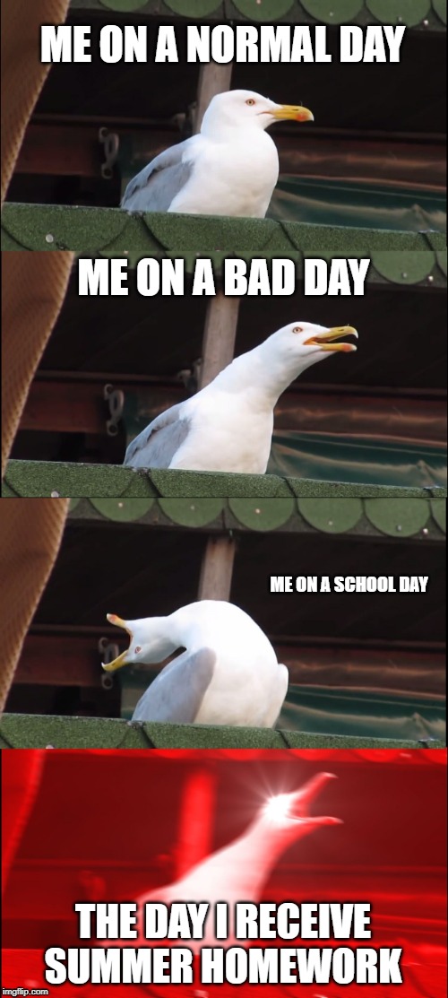 Inhaling Seagull Meme | ME ON A NORMAL DAY; ME ON A BAD DAY; ME ON A SCHOOL DAY; THE DAY I RECEIVE SUMMER HOMEWORK | image tagged in memes,inhaling seagull | made w/ Imgflip meme maker