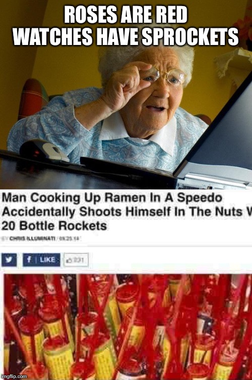 ROSES ARE RED WATCHES HAVE SPROCKETS | image tagged in memes,grandma finds the internet | made w/ Imgflip meme maker