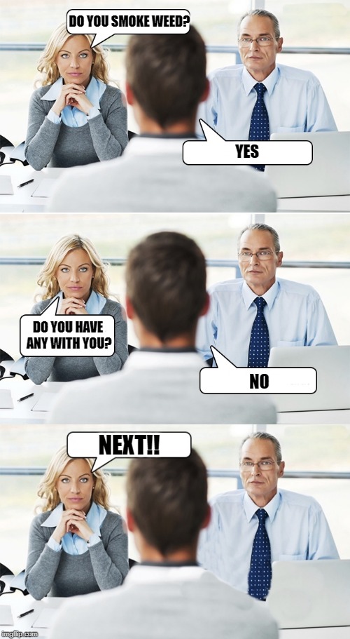 Job interview | DO YOU SMOKE WEED? YES; DO YOU HAVE ANY WITH YOU? NO; NEXT!! | image tagged in job interview,weed | made w/ Imgflip meme maker