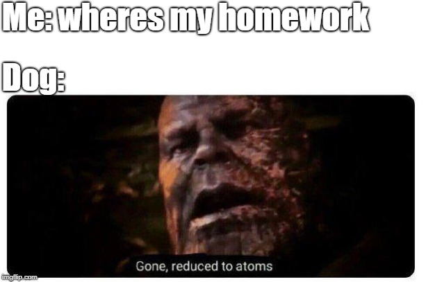 Where my homework goes | Me: wheres my homework; Dog: | image tagged in gone reduced to atoms,dogs | made w/ Imgflip meme maker