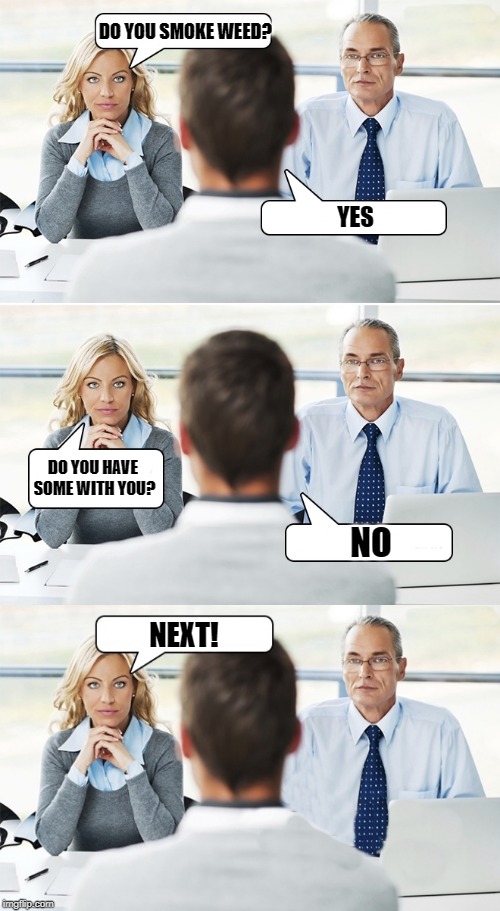 job interview | DO YOU SMOKE WEED? YES; DO YOU HAVE SOME WITH YOU? NO; NEXT! | image tagged in job interview,weed | made w/ Imgflip meme maker