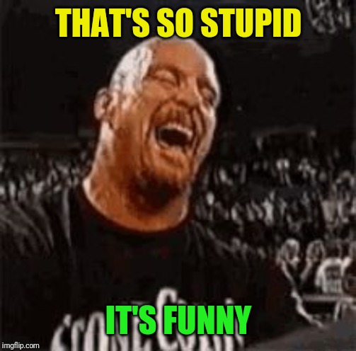 Stone Cold Laughing | THAT'S SO STUPID IT'S FUNNY | image tagged in stone cold laughing | made w/ Imgflip meme maker