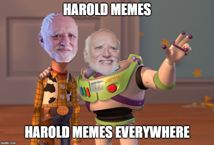 X, X Everywhere | HAROLD MEMES; HAROLD MEMES EVERYWHERE | image tagged in memes,x x everywhere | made w/ Imgflip meme maker