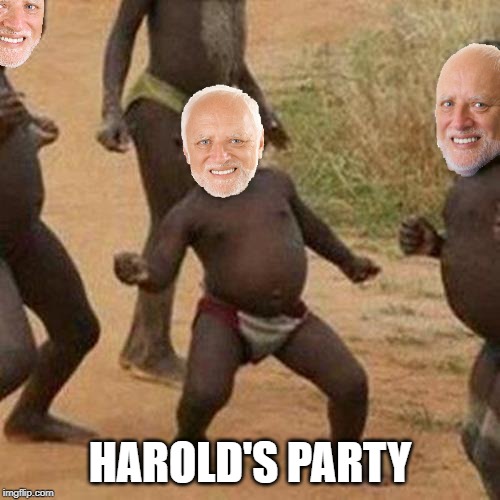 Harol's Party | HAROLD'S PARTY | image tagged in memes,third world success kid,funny,party,hide the pain harold | made w/ Imgflip meme maker