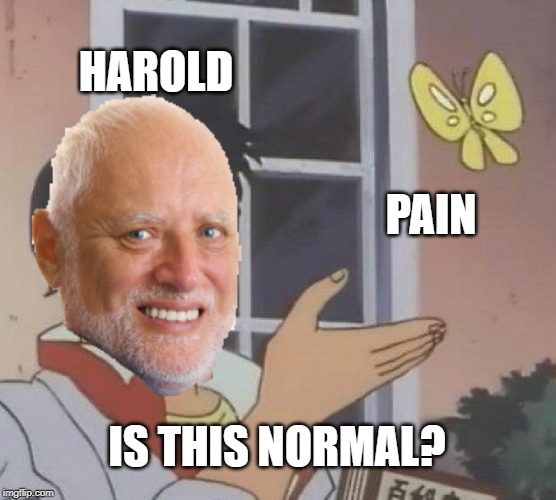 HAROLD; PAIN; IS THIS NORMAL? | made w/ Imgflip meme maker