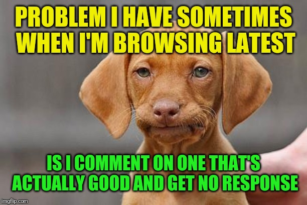 Dissapointed puppy | PROBLEM I HAVE SOMETIMES WHEN I'M BROWSING LATEST IS I COMMENT ON ONE THAT'S ACTUALLY GOOD AND GET NO RESPONSE | image tagged in dissapointed puppy | made w/ Imgflip meme maker