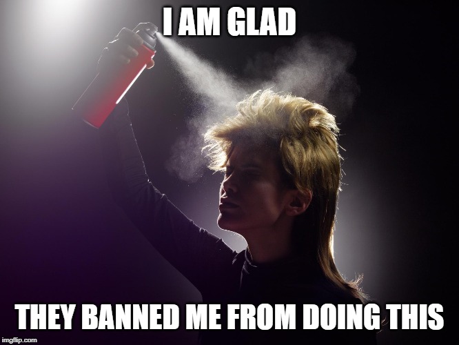 I AM GLAD THEY BANNED ME FROM DOING THIS | made w/ Imgflip meme maker