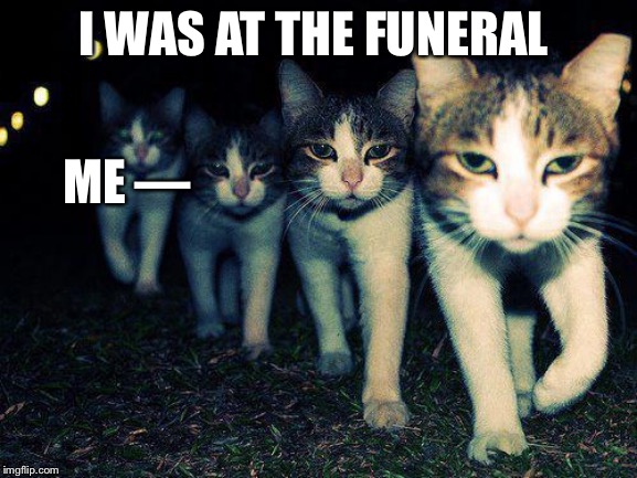 Wrong Neighboorhood Cats Meme | I WAS AT THE FUNERAL ME — | image tagged in memes,wrong neighboorhood cats | made w/ Imgflip meme maker
