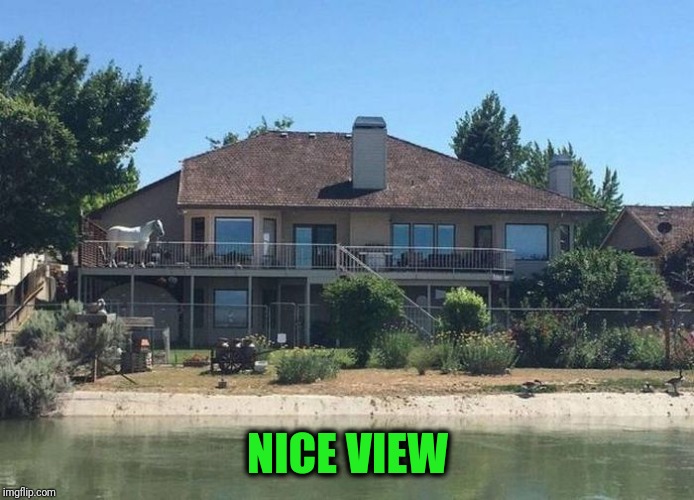 When you see it | NICE VIEW | image tagged in equine,invasion | made w/ Imgflip meme maker