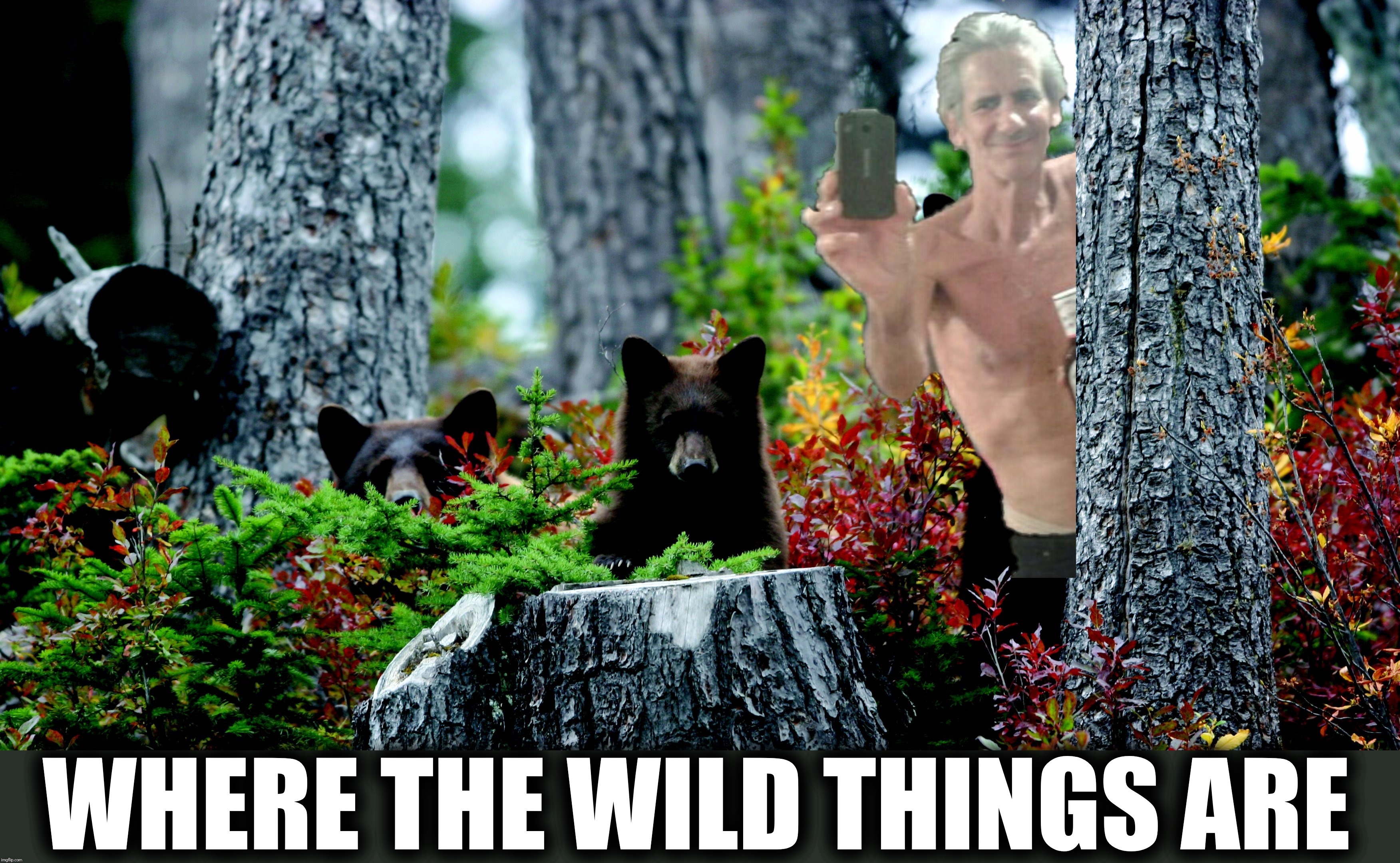 WHERE THE WILD THINGS ARE | made w/ Imgflip meme maker