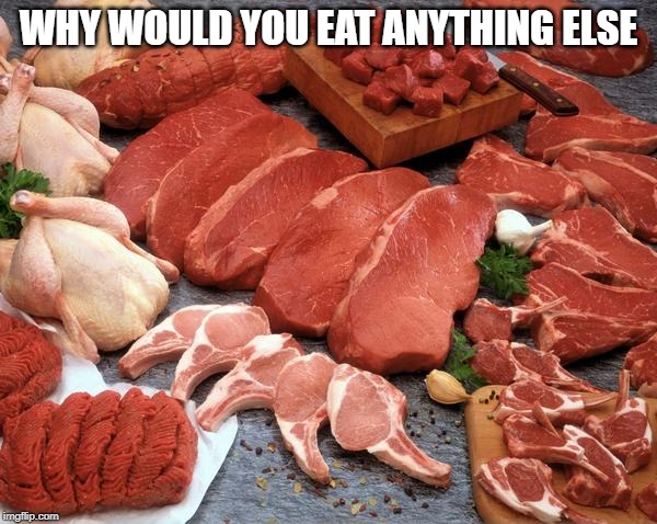 meat | WHY WOULD YOU EAT ANYTHING ELSE | image tagged in meat | made w/ Imgflip meme maker